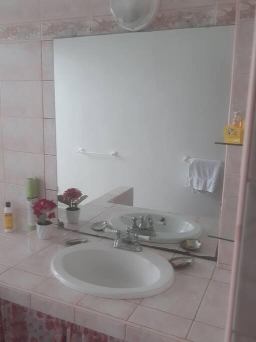 Revolution Tahiti Apartment Papeete  Ngoại thất bức ảnh